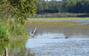 Les routes de Raphael 84,5 km