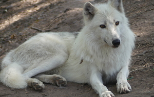 BB Malval La Giraudiére St. Clément Longessaigne A - 100 km