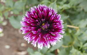 Saint Vérand Saint Loup - 86 km