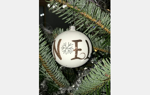 Thurins-St Maurice sur Dargoire-Rive/Giers 73,2 km