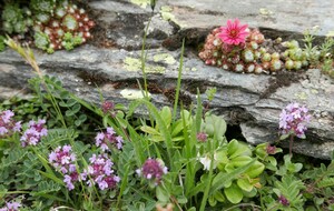 Ste Foy-Les Auberges-Ancy - 97 km