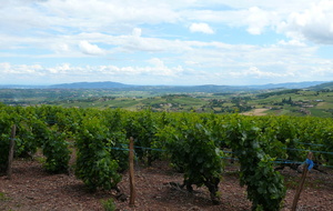 Cogny par Villefranche - 78 km