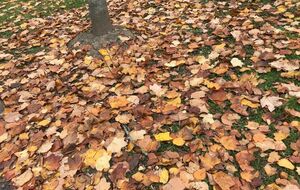 BB-Cailloux, St André Corcy, Neuville, Chazay d'Az - 76 km