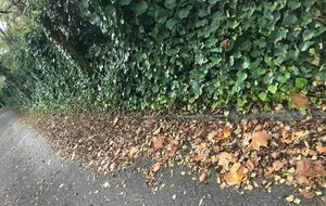 Thurins-St Maurice sur Dargoire-Tartaras - 72 km