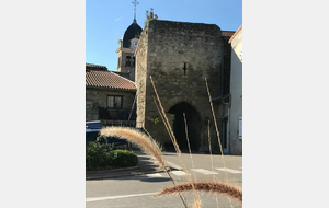 Thurins-St Andéol le Château-Montagny-Orliénas - 74 km