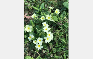 Petit 1.000 Bosses - 73 km