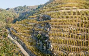 BB-Chaponost-POGGIO d'Ampuis-Echalas-St Andéol-Montgny 