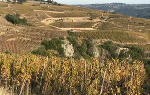 BB-POGGIO d'AMPUIS-Variante 1 - 86 km