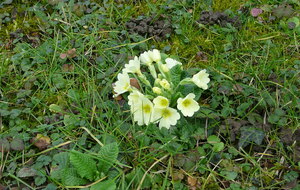 FD-LA COOL NORD 2 du Dimanche - 61,3 km