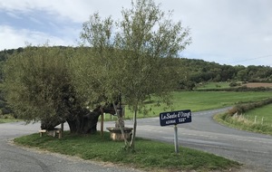 JF-Chatillon-Charnay-Saule Oingt-St Vérand-Sarcey-Fleurieux 90,5 km