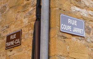 JF-Sarcey-Légny-Oingt-Alix-Fleurieux-Mosouvre - 79 km