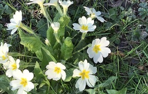 RALLYE de PRINTEMPS - SOUCIEU-en-JARREST